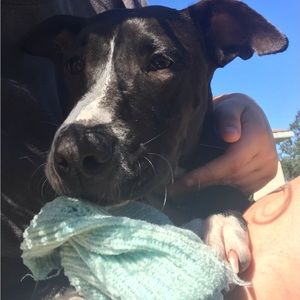 Meet your Posher, Yourlocalanime